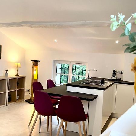 Duplex - Valbonne Village Zewnętrze zdjęcie