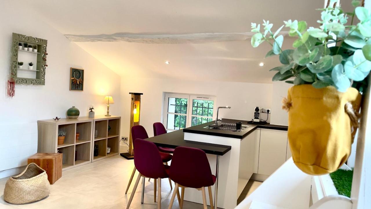 Duplex - Valbonne Village Zewnętrze zdjęcie