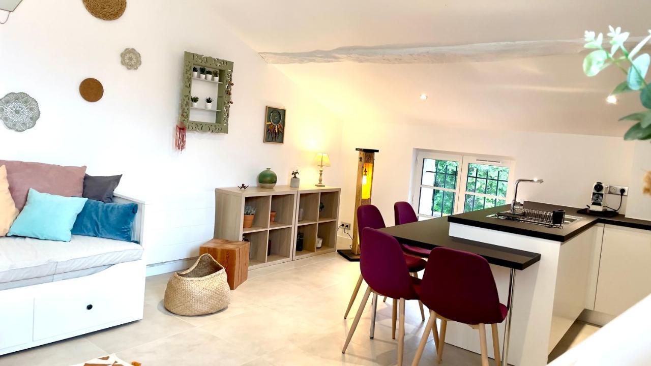 Duplex - Valbonne Village Zewnętrze zdjęcie